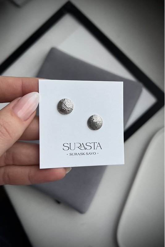 Nerūdijančio plieno auskarai