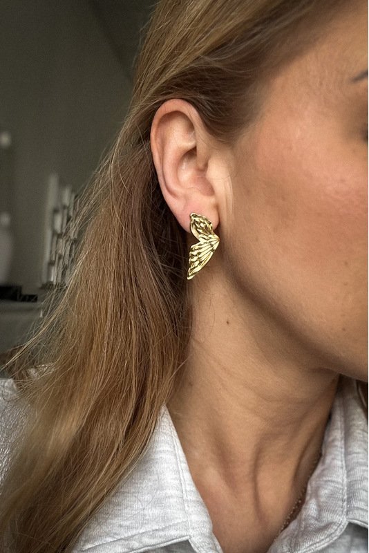 Nerūdijančio plieno auskarai "Sparnai" 1