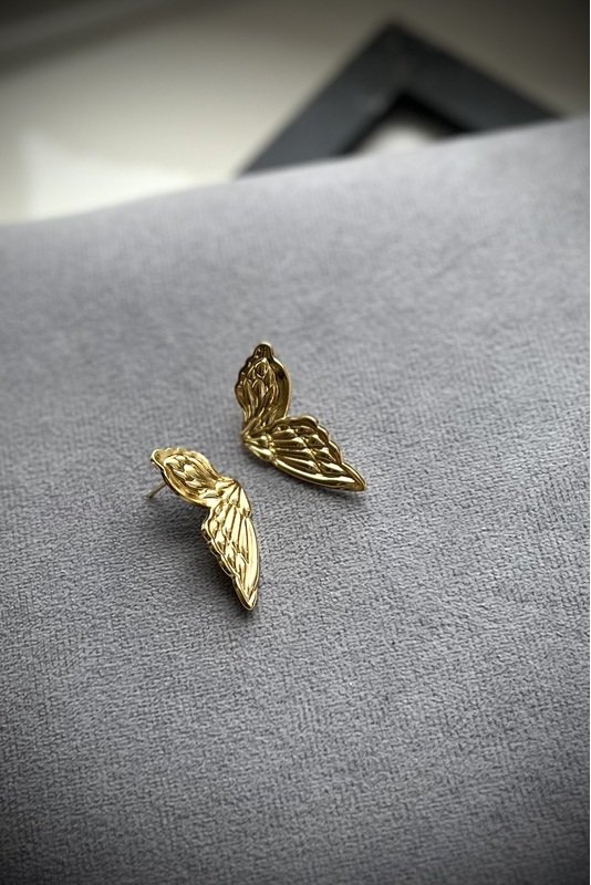 Nerūdijančio plieno auskarai "Sparnai" 2